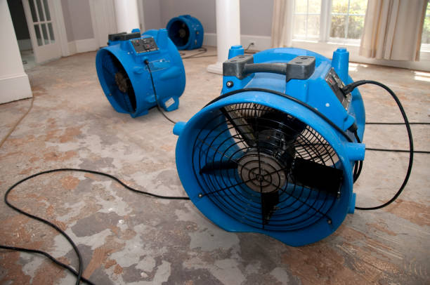 Best Water damage restoration near me  in Waverly, OH