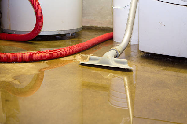 Best Flooded house restoration  in Waverly, OH