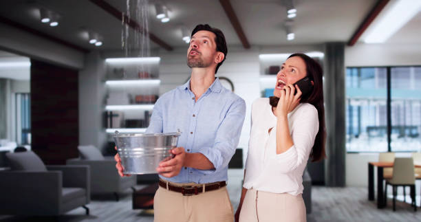 Best Professional water damage repair  in Waverly, OH